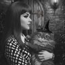 smossdc's profile picture. ai & copyright/content policy @google, x-@coinbase, ip & emerging tech @georgetowncct, views my own ≠ employer, fan of cats and crawlers, nvr tweet
