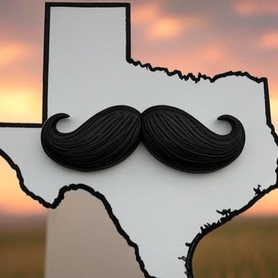 LadyTexicann's profile picture. This is a Pawnald Trump fan account until further notice.