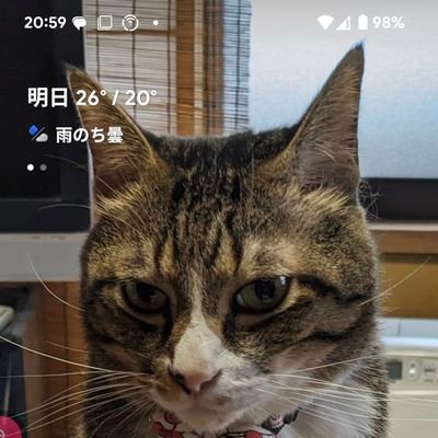 machazhenlu's profile picture. JUNONBOYの応援しながらイラスト描きます。
趣味は、イラストとカラオケと物語を書いていきます
個人的なDMは、一切　出来ません
いいねと挨拶のみは大丈夫です
秋元康様作詞塾通信講座修了生。
ワンニャン平和党を応援してます