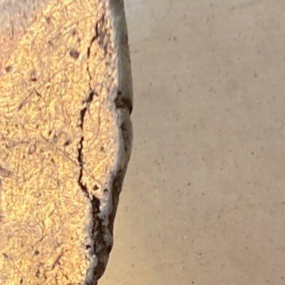 texture555's profile picture. testing