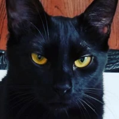 CatalystOne9er's profile picture. I'm here for News and Information. That's it. NO DM'S