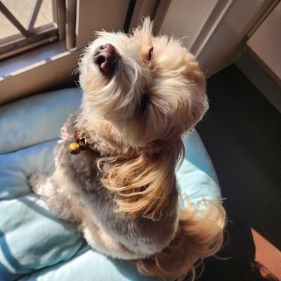 mker_jp_1002's profile picture. sumikaが超超大好き🏠