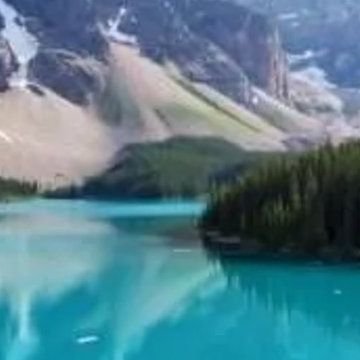 Pappu804699460's profile picture. 