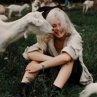 sybsislll's profile picture. 