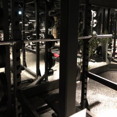 arfif_workout's profile picture. アラフィフから人生最高のカラダを作る✨楽しく年齢に抗う🧚‍♀️ 筋トレ💪食事🍽️サプリ💊美容💇同年代と繋がりたい🤝