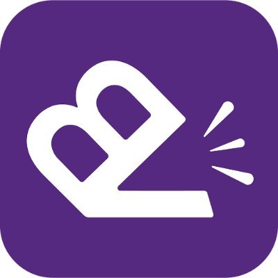 BVoxAIDeveloper's profile picture. 
