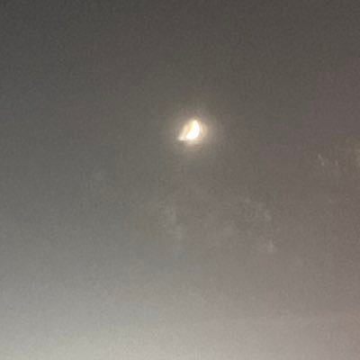 お取引多数 代行経験多数 本垢提示可能です🙆‍♀️
ツイフィを読んでない方にはお返事致しません。