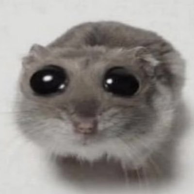 KDM_ball's profile picture. 