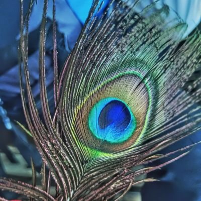 MakhanRaj2's profile picture. ✰_ भीम आर्मी खुरई विधानसभा सह. मिडिया प्रभारी _✰
✰_भीम आर्मी बीना विधान पूर्व आई टी सेल अध्यक्ष एवं पूर्व मिडिया प्रभारी_✰
✰_मो.8819947017✰