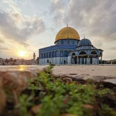 bawh991's profile picture. ترجو رحمة ربها