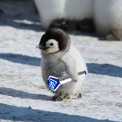 nett602's profile picture. 