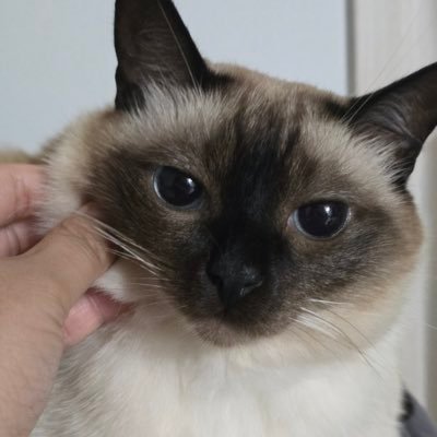 cktjdxo's profile picture. 