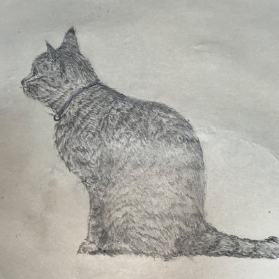 くるめさんのプロフィール画像