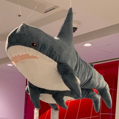 same07937's profile picture. 自分用サメ鑑賞用アカウントです   無言フォロー失礼いたします