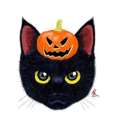夕サ力八ル匕コ🐈‍⬛さんのプロフィール画像