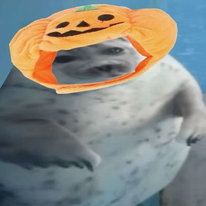 fatty_seal_'s profile picture. 