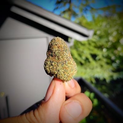 AGettinggrown's profile picture. Compassionate Cannabis educator. Looking to connect the cannabis consumer, the farmer and beyond.