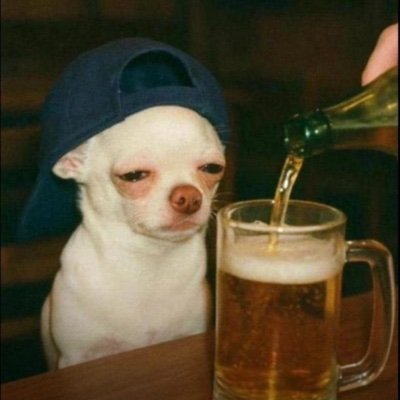 GabrielPet5000's profile picture. 