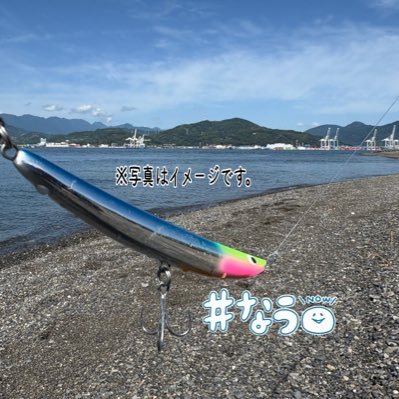 内海ますを™️@Pt.さんのプロフィール画像