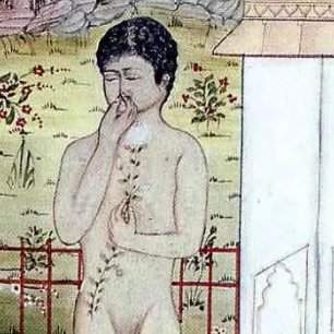 Jauna_K's profile picture. Art curation for the time being