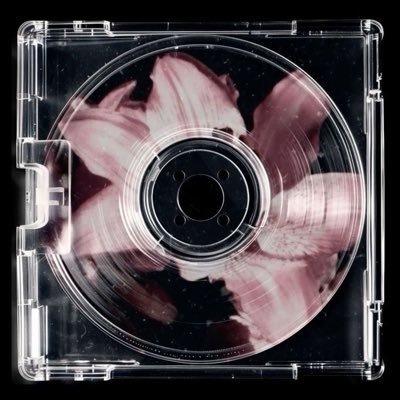 hemilyzq's profile picture. no cap ( gu phimpoy ) 🍇