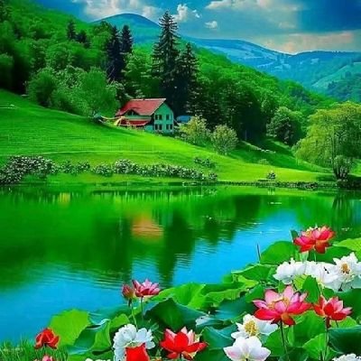 ZAlwrd41711's profile picture. 