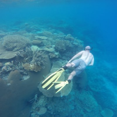 CasTomcas17's profile picture. $billy