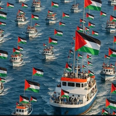 zadem51's profile picture. 