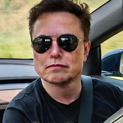 Privatecha65441's profile picture. active chat with Elon musk