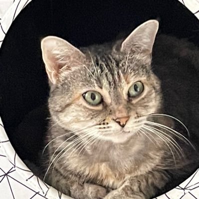 evair61's profile picture. Homem temente a Deus e que ama sua familia...Deus é fiel!!!