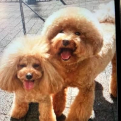 gakuriry's profile picture. 
