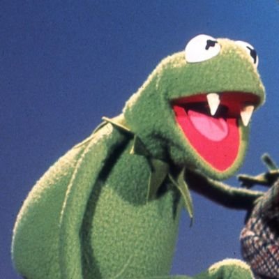 anakinjorge4b's profile picture. cosas de la rana
🐸