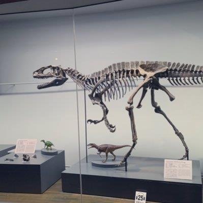 rose_weave6382's profile picture. 