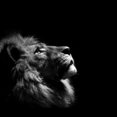 providersk1006's profile picture. .