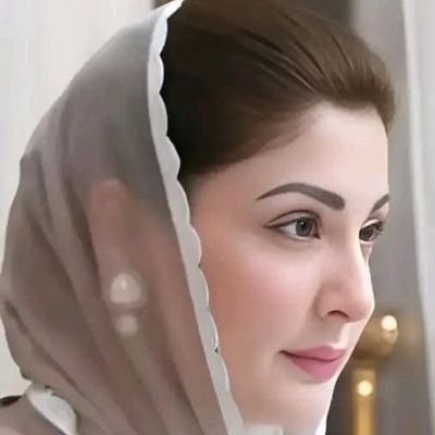 Shkhan0346's profile picture. 