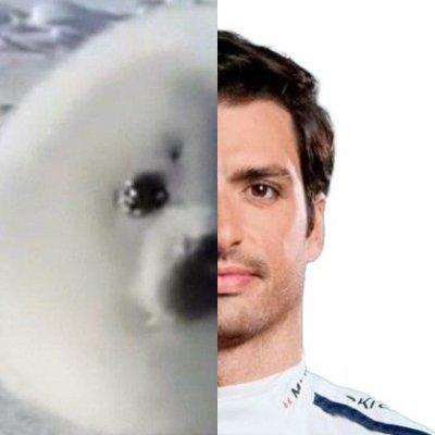 55blorb's profile picture. created to free my privoomfs from f1 ramblings. go weeyums🐹