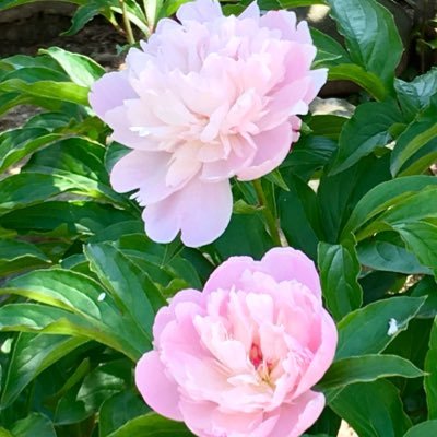 No28_d's profile picture. 