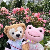 シェリミ(*˙˘˙*)ஐ (@soutan07) 's Twitter Profile Photo