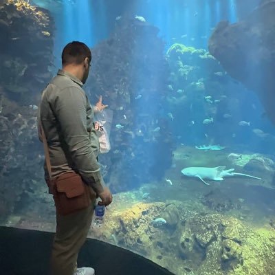 orora_ai's profile picture. Convert your n8n automations into code instantly, with just a drag and drop