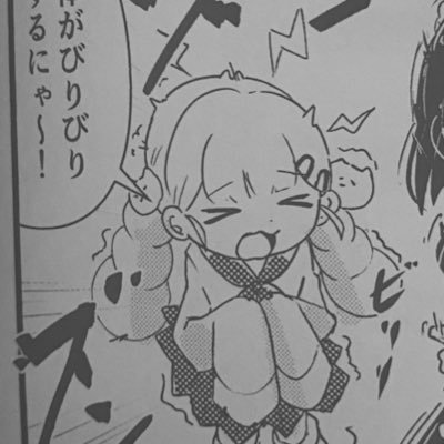 中の人(@nyankobrq)//LoL,ボードゲーム,カードゲーム,自作TCG、業者スパムアカウント以外はフォロバしています