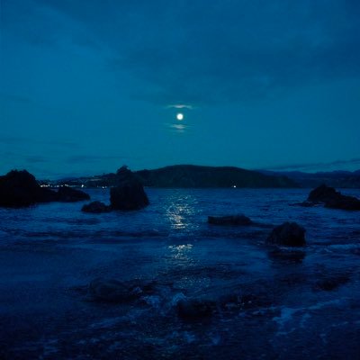 LGUltraGear's profile picture. 