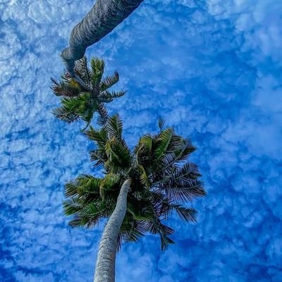 pr4shik_aep's profile picture. 🔥 Airdrop Hunter | 📊 Crypto Analyst
💡 Active Yapper @KaitoAI
🧪 Testnet Native • Utility Driven