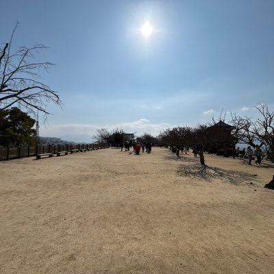 yasu3726's profile picture. 