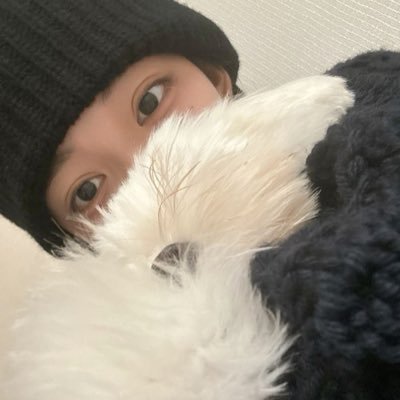 #이채영 채영이의 살랑둥이