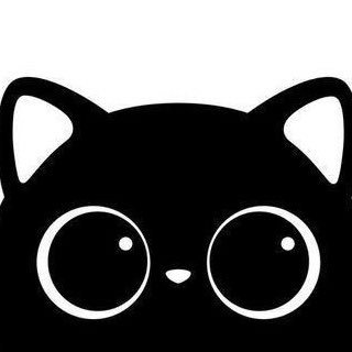 ashilladw's profile picture. °˖ ⊹ ꒰🌱꒱ ♡