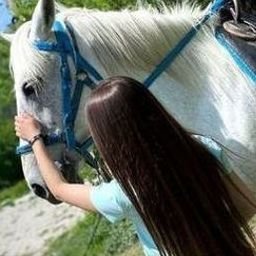 Ofacaw341882's profile picture. 