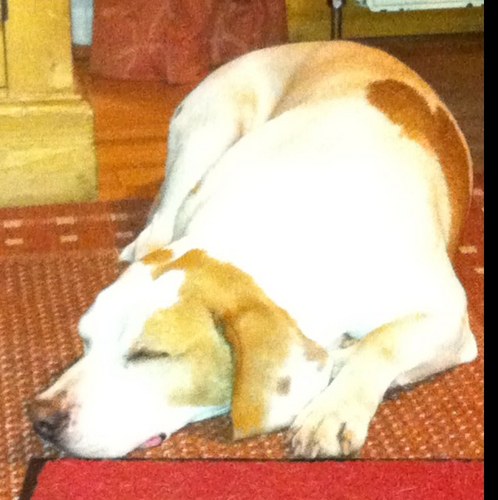 eoghan_hurley's profile picture. 