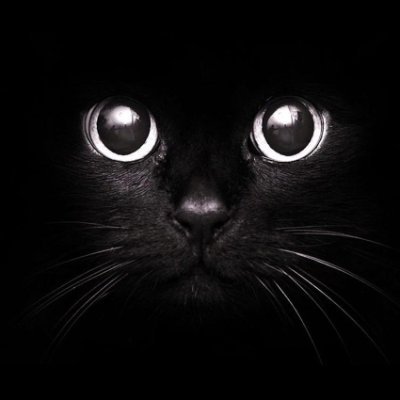 Gamebangsat21's profile picture. 