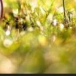 musu19837225625's profile picture. 