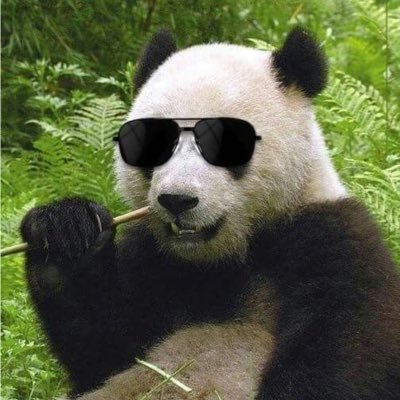swankypanda's profile picture. #bb27 #survivor